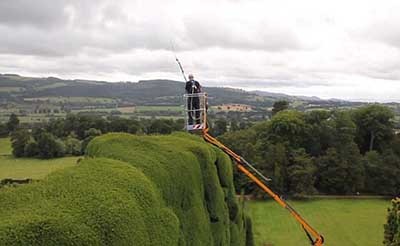 اخبار,اخبارگوناگون ,زیباترین باغ