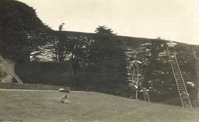 اخبار,اخبارگوناگون ,زیباترین باغ