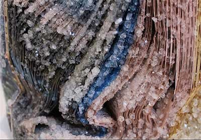 اخبار,اخبارگوناگون,کتاب‌های زیبا کریستالی 