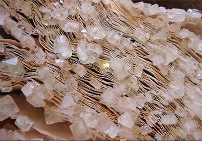 اخبار,اخبارگوناگون,کتاب‌های زیبا کریستالی 