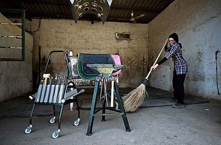 اخیار,اخبار گوناگون,تنها دختر نعلبند ایران اخیار,اخبار گوناگون,تنها دختر نعلبند ایران