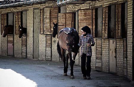 اخیار,اخبار گوناگون,تنها دختر نعلبند ایران اخیار,اخبار گوناگون,تنها دختر نعلبند ایران