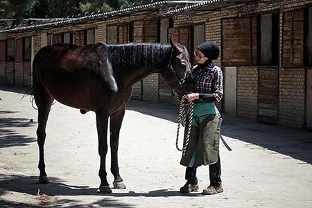 اخیار,اخبار گوناگون,تنها دختر نعلبند ایران اخیار,اخبار گوناگون,تنها دختر نعلبند ایران