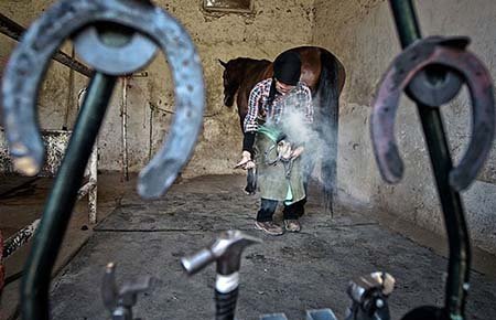 اخیار,اخبار گوناگون,تنها دختر نعلبند ایران اخیار,اخبار گوناگون,تنها دختر نعلبند ایران