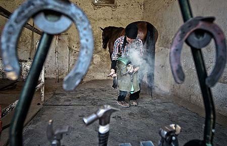 اخیار,اخبار گوناگون,تنها دختر نعلبند ایران اخیار,اخبار گوناگون,تنها دختر نعلبند ایران