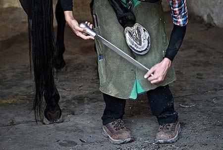 اخیار,اخبار گوناگون,تنها دختر نعلبند ایران اخیار,اخبار گوناگون,تنها دختر نعلبند ایران