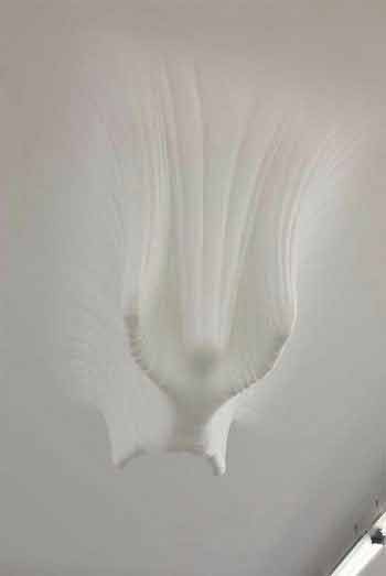 اخبار,اخبار گوناگون,هنرنمایی ستودنی با گچ روی دیوار اخبار,اخبار گوناگون,هنرنمایی ستودنی با گچ روی دیوار