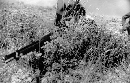 اخبار , اخبار گوناگون,آشنایی با عکاسان معروف,نحوه مشهور شدن عکاسان