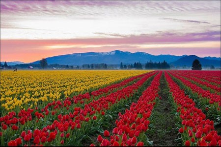 اخبار , اخبار گوناگون,رویایی ترین نقاط زمین,تصاویر رویایی ترین نقاط زمین