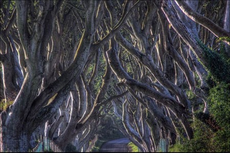 اخبار , اخبار گوناگون,رویایی ترین نقاط زمین,تصاویر رویایی ترین نقاط زمین