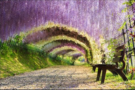 اخبار , اخبار گوناگون,رویایی ترین نقاط زمین,تصاویر رویایی ترین نقاط زمین