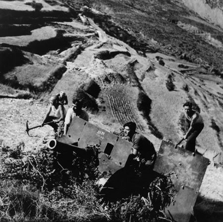 اخبار , اخبار گوناگون,آشنایی با عکاسان معروف,نحوه مشهور شدن عکاسان