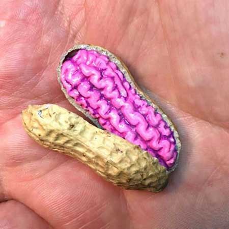 هنرنمایی های جالب با بادام زمینی