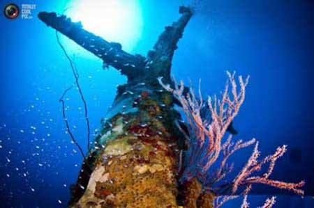 یادگاری شوم جنگ‌جهانی در اعماق دریا+تصاویر