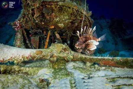 یادگاری شوم جنگ‌جهانی در اعماق دریا+تصاویر