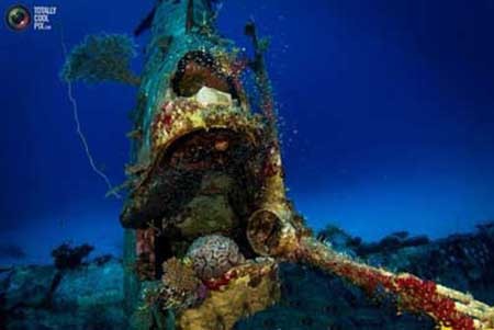 یادگاری شوم جنگ‌جهانی در اعماق دریا+تصاویر