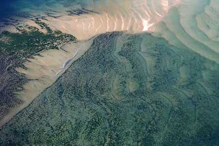 تصاویر هوایی زیبا از سواحل کیپ کود