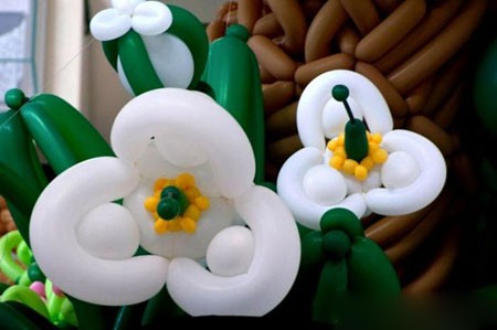 اخبار , اخبار گوناگون, دایناسور بادکنکی