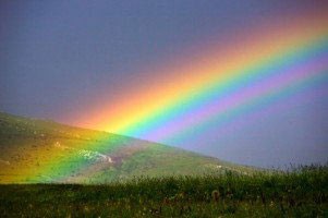 اخبار,اخبار گوناگون,رنگین کمان