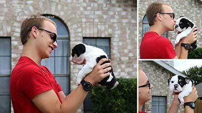 اخبار,اخبار گوناگون,بولداگ با نقص مادرزادی