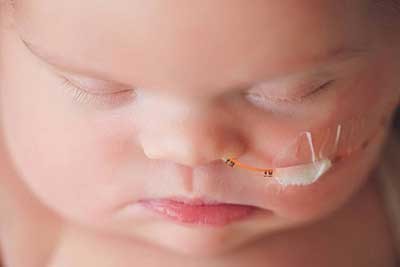 اخبار,اخبار اجتماعی,ابیگل