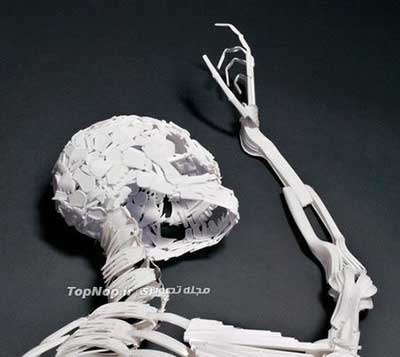 اخبار,اخبار علمی,اسکلت انسان اخبار,اخبار علمی,اسکلت انسان