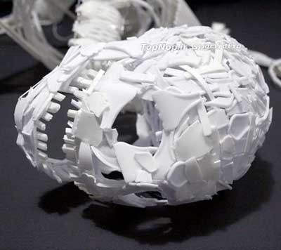 اخبار,اخبار علمی,اسکلت انسان اخبار,اخبار علمی,اسکلت انسان