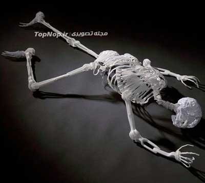 اخبار,اخبار علمی,اسکلت انسان اخبار,اخبار علمی,اسکلت انسان