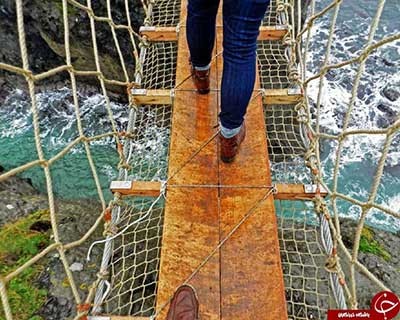 اخبار,اخبار گوناگون,پل