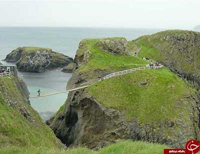 اخبار,اخبار گوناگون,پل