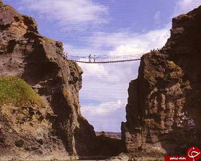 اخبار,اخبار گوناگون,پل