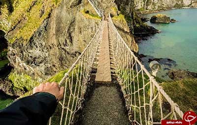 اخبار,اخبار گوناگون,پل