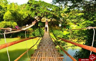 اخبار,اخبار گوناگون,پل