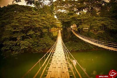 اخبار,اخبار گوناگون,پل