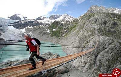 اخبار,اخبار گوناگون,پل