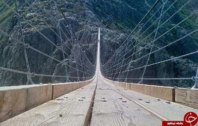 اخبار,اخبار گوناگون,پل