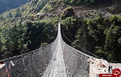 اخبار,اخبار گوناگون,پل