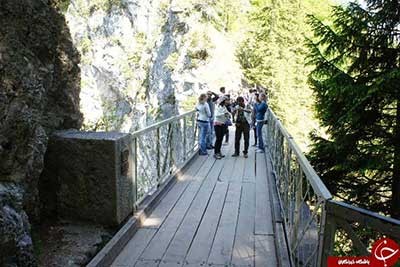 اخبار,اخبار گوناگون,پل