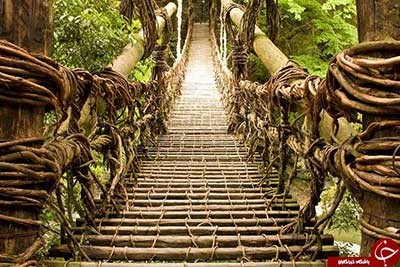 اخبار,اخبار گوناگون,پل