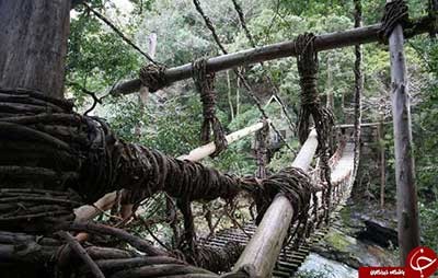 اخبار,اخبار گوناگون,پل