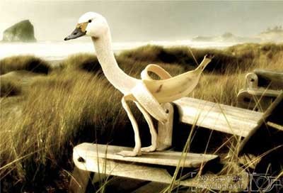 اخبار,اخبار گوناگون, تصویر دستکاری شده