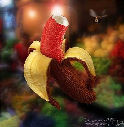 اخبار,اخبار گوناگون, تصویر دستکاری شده