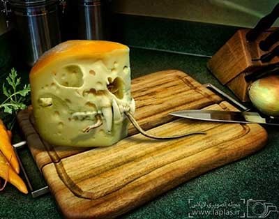 اخبار,اخبار گوناگون, تصویر دستکاری شده