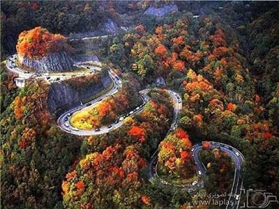 اخبار,اخبار گوناگون, جاده های ژاپن