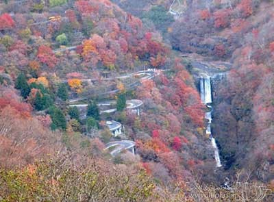 اخبار,اخبار گوناگون, جاده های ژاپن
