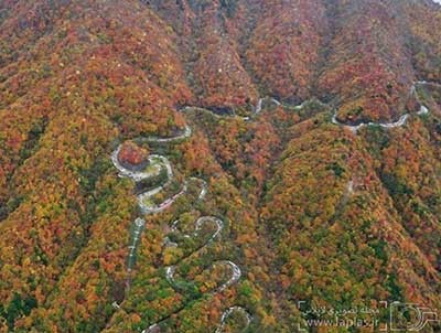 اخبار,اخبار گوناگون, جاده های ژاپن