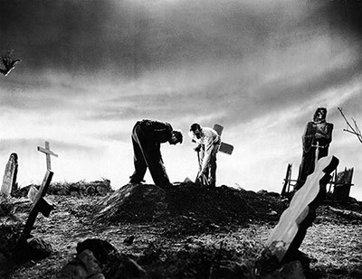 اخبار,اخبار گوناگون,شغل عجیب