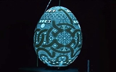 اخبار,اخبار گوناگون,پوسته تخم مرغ