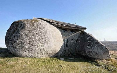 اخبار,اخبار امروز,اخبار جدید