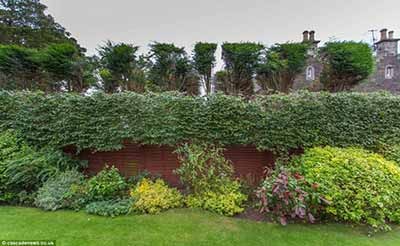 اخبار,اخبار گوناگون,فضای سبز بزرگی  درمنزلی دراسکاتلند